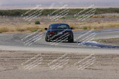 media/Oct-04-2025-OnGrid (Sat) [[44bd565ffa]]/Pink Group/Grapevine/